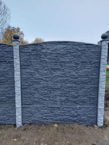 10 (1) (1) (1) (1) (1)