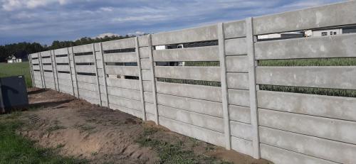 10 (1) (1) (1) (1) (1) (1) (1) (1) (1) (1) (1) (1) (1) (1) (1)