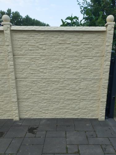 10 (1) (1) (1) (1) (1) (1) (1) (1) (1) (1) (1) (1) (1) (1) (1) (1) (1) (1) (1) (1) (1) (1) (1)