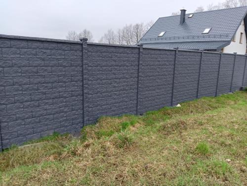 11 (1) (1) (1) (1) (1)