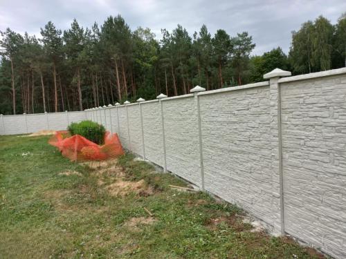 11 (1) (1) (1) (1) (1) (1) (1)