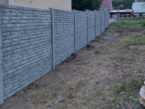 11 (1) (1) (1) (1) (1) (1) (1) (1) (1) (1) (1)