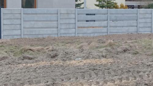 11 (1) (1) (1) (1) (1) (1) (1) (1) (1) (1) (1) (1)