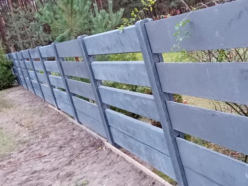 11 (1) (1) (1) (1) (1) (1) (1) (1) (1) (1) (1) (1) (1)