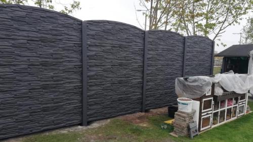 12 (1) (1) (1) (1) (1) (1) (1)