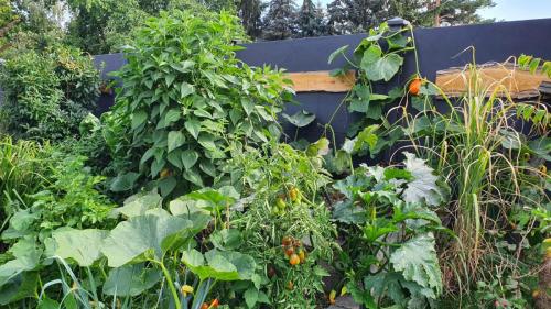 12 (1) (1) (1) (1) (1) (1) (1) (1) (1) (1)