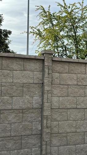 13 (1) (1) (1) (1) (1) (1)