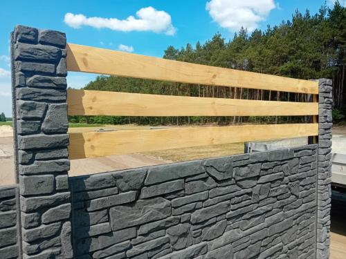 13 (1) (1) (1) (1) (1) (1) (1) (1) (1)