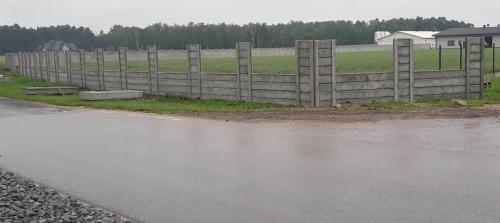 13 (1) (1) (1) (1) (1) (1) (1) (1) (1) (1) (1) (1) (1)