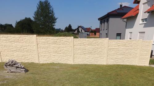 13 (1) (1) (1) (1) (1) (1) (1) (1) (1) (1) (1) (1) (1) (1) (1) (1) (1) (1) (1) (1)