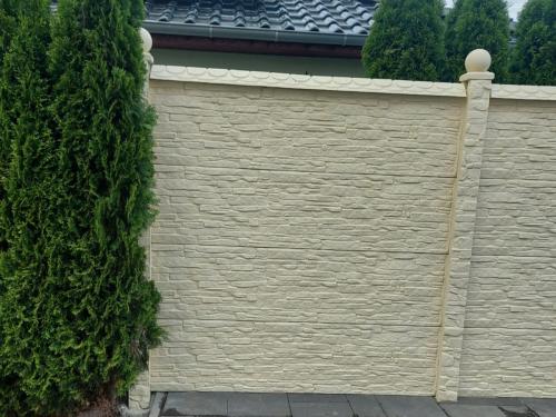 13 (1) (1) (1) (1) (1) (1) (1) (1) (1) (1) (1) (1) (1) (1) (1) (1) (1) (1) (1) (1) (1)