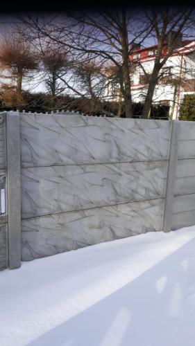 15 (1) (1) (1) (1) (1) (1) (1) (1) (1)