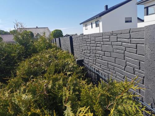 17 (1) (1) (1) (1) (1) (1) (1) (1) (1) (1) (1) (1) (1)