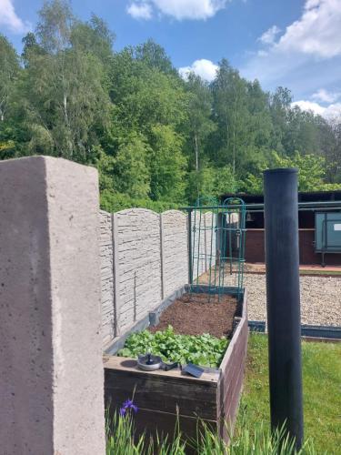 18 (1) (1) (1) (1) (1) (1) (1) (1) (1) (1) (1) (1) (1) (1) (1) (1)