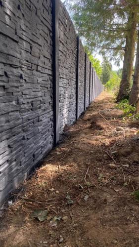 20 (1) (1) (1) (1) (1)