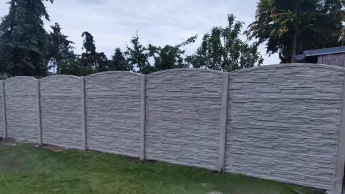 22 (1) (1) (1) (1) (1) (1) (1) (1) (1) (1) (1)