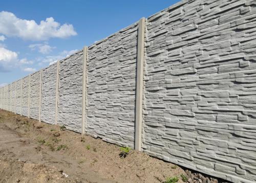 24 (1) (1) (1) (1) (1) (1) (1)