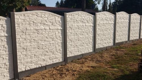 24 (1) (1) (1) (1) (1) (1) (1) (1)