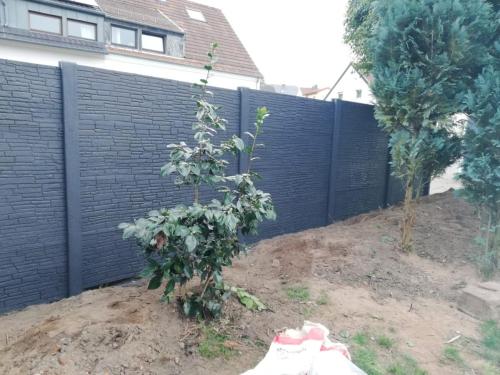 26 (1) (1) (1) (1) (1)