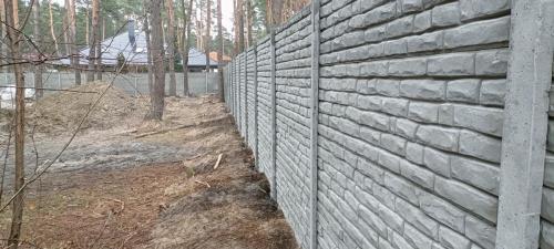 2 (1) (1) (1) (1) (1) (1) (1) (1) (1) (1) (1) (1) (1) (1) (1) (1)