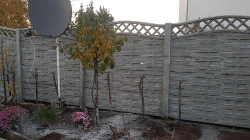 2 (1) (1) (1) (1) (1) (1) (1) (1) (1) (1) (1) (1) (1) (1) (1) (1) (1) (1) (1) (1) (1) (1) (1) (1) (1) (1)