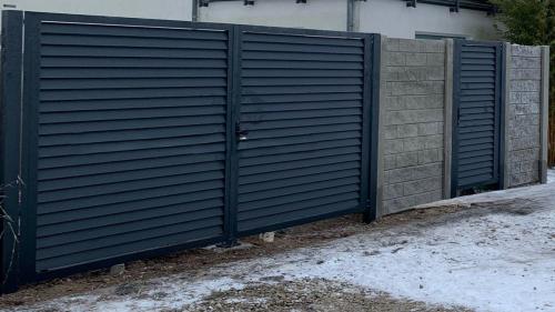 31 (1) (1) (1) (1) (1) (1)