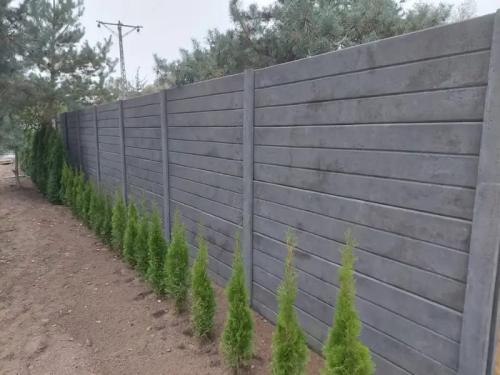 3 (1) (1) (1) (1) (1) (1) (1) (1) (1) (1) (1) (1) (1) (1)