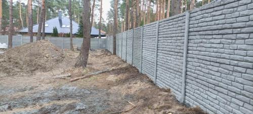 3 (1) (1) (1) (1) (1) (1) (1) (1) (1) (1) (1) (1) (1) (1) (1) (1)