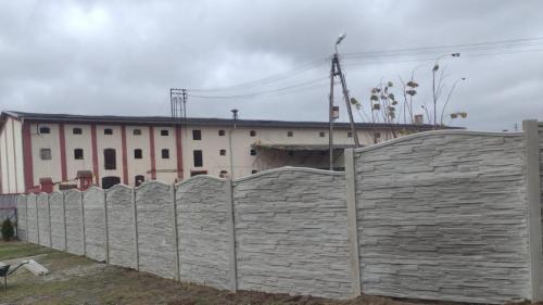 3 (1) (1) (1) (1) (1) (1) (1) (1) (1) (1) (1) (1) (1) (1) (1) (1) (1) (1) (1) (1) (1) (1) (1) (1) (1) (1) (1) (1)