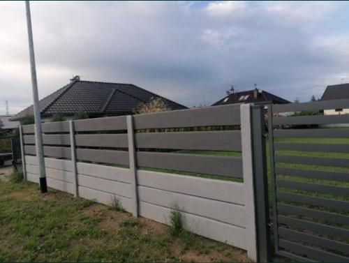 5 (1) (1) (1) (1) (1) (1) (1) (1) (1) (1) (1) (1) (1) (1) (1) (1) (1)