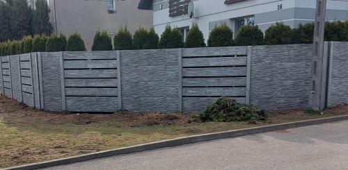 5 (1) (1) (1) (1) (1) (1) (1) (1) (1) (1) (1) (1) (1) (1) (1) (1) (1) (1) (1) (1) (1) (1) (1) (1)