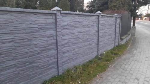 5 (1) (1) (1) (1) (1) (1) (1) (1) (1) (1) (1) (1) (1) (1) (1) (1) (1) (1) (1) (1) (1) (1) (1) (1) (1) (1) (1) (1) (1) (1) (1) (1) (1) (1) (1) (1) (1)