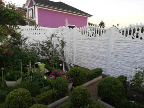 6 (1) (1) (1) (1) (1) (1) (1) (1) (1) (1) (1)