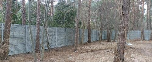 6 (1) (1) (1) (1) (1) (1) (1) (1) (1) (1) (1) (1) (1) (1) (1)