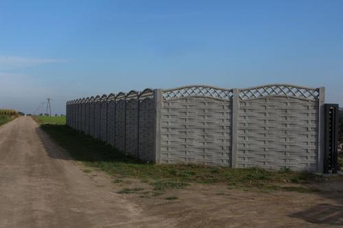 6 (1) (1) (1) (1) (1) (1) (1) (1) (1) (1) (1) (1) (1) (1) (1) (1) (1) (1) (1) (1) (1)