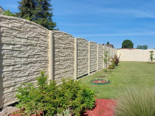 6 (1) (1) (1) (1) (1) (1) (1) (1) (1) (1) (1) (1) (1) (1) (1) (1) (1) (1) (1) (1) (1) (1) (1) (1) (1) (1) (1) (1) (1) (1) (1) (1) (1) (1) (1) (1) (1) (1) (1) (1) (1) (1) (1)