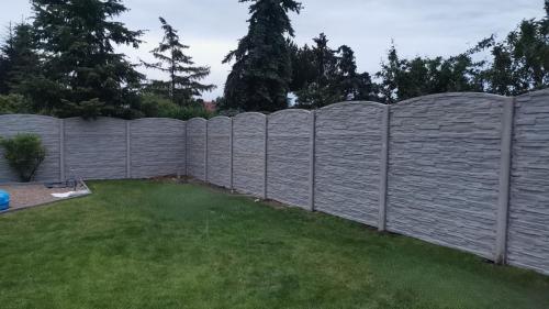 7 (1) (1) (1) (1) (1) (1) (1)