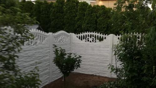 7 (1) (1) (1) (1) (1) (1) (1) (1) (1) (1) (1)