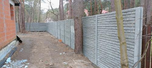 7 (1) (1) (1) (1) (1) (1) (1) (1) (1) (1) (1) (1) (1) (1) (1)