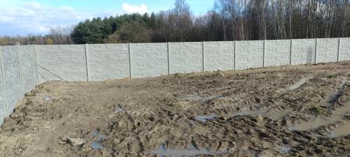 8 (1) (1) (1) (1) (1) (1) (1) (1) (1) (1) (1) (1) (1)