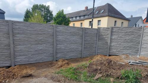 8 (1) (1) (1) (1) (1) (1) (1) (1) (1) (1) (1) (1) (1) (1) (1) (1) (1) (1) (1) (1)