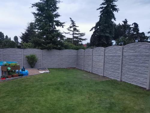 8 (1) (1) (1) (1) (1) (1) (1) (1) (1) (1) (1) (1) (1) (1) (1) (1) (1) (1) (1) (1) (1) (1) (1) (1) (1) (1) (1) (1) (1)